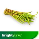 brightfarms Taro Stolon (Kochur Loti) 500g ± 30g