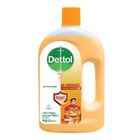 Dettol Handwash Re-Energize Everyday Protection Refill 750ml