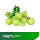 brightfarms Amloki Gooseberry Regular 250g ±5g