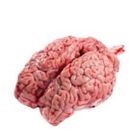 Beef Brain 1 Packet