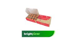 brightfarms Egg Brown Regular 12 Pieces