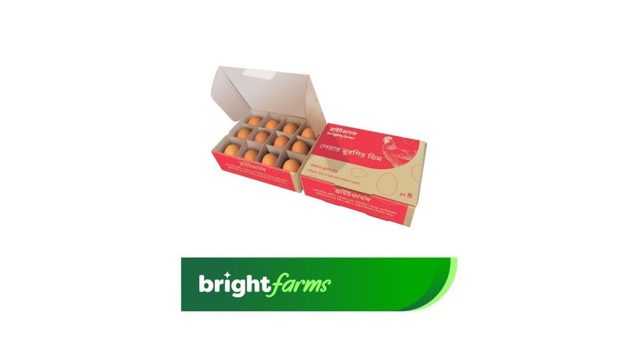 brightfarms Egg Brown Regular 12 Pieces