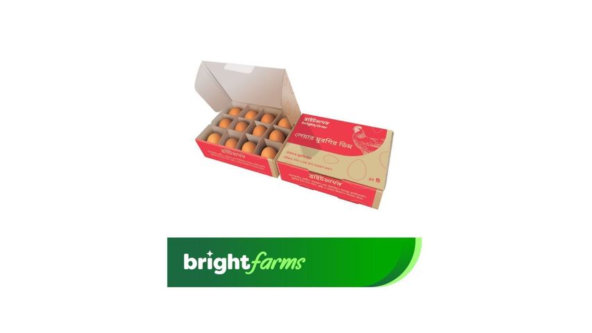 brightfarms Egg Brown Regular 12 Pieces