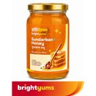 brightyums Sundarban Honey 500g
