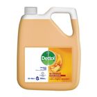 Dettol Handwash Re-Energize Everyday Protection Refill 5L