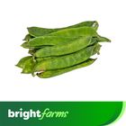 brightfarms Flat Bean (Mou Sheem) 500g (±30g)
