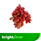 brightfarms Red Grapes (Lal Angur) 500g (±30g)