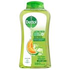 (Buy & Get Loofah Free) Dettol Lasting Fresh Antibacterial Body Wash Melon & Cucumber Fragrance 250ml