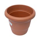 Eco Planter 10 Inch Assorted 1 Piece