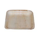Pisces Areca Leaf 9" Square Plate 6 Pieces