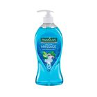 Palmolive Aroma Moments Feel The Massage Shower Gel 750ml
