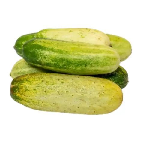 brightfarms Cucumber Local (Shosha) 500g (±20g)