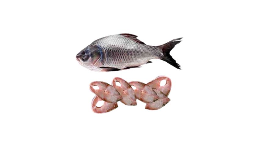 Katol Fish Large Cut & Clean 8kg+ Sized Fish 1kg