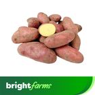 brightfarms Potato (Jam Alu) 500g ± 30g