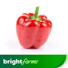 brightfarms Red Capsicum Bell Pepper 150g +-20g