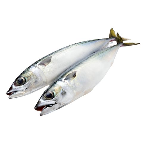 Fresh Sea Fish Chub Mackerel 500g