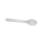 Pisces Biodegradable 160 mm Spoon 6 Pieces