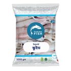 Fresh Sea Fish Squid Whole Export Grade 1000g