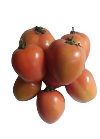 BrightFarms Tomato Local Premium 500g ±20g