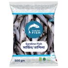 Fresh Sea Fish Sardine Chapila 500g