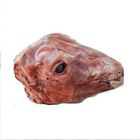Mutton Head 1 Piece