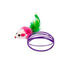 Cat Toy Rainbow Ball Spring Prison Cage Mouse (Assorted) 1 Piece