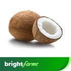 brightfarms Coconut Narikel 1 Piece