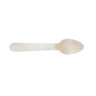 Pisces Biodegradable Dessert Spoon Oval 110 mm