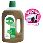 Dettol Antiseptic Disinfectant -750 ml
