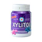 Lotte Xylitol Handy Bottle Blueberry Mint 55.1g