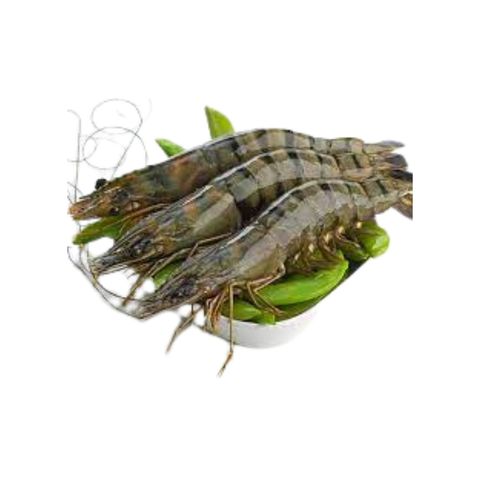 Shrimp (Bagda Chingri) 25-30 Pieces  500g ±15g