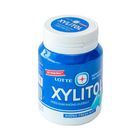 Lotte Xylitol Handy Bottle Fresh Mint 55.1g