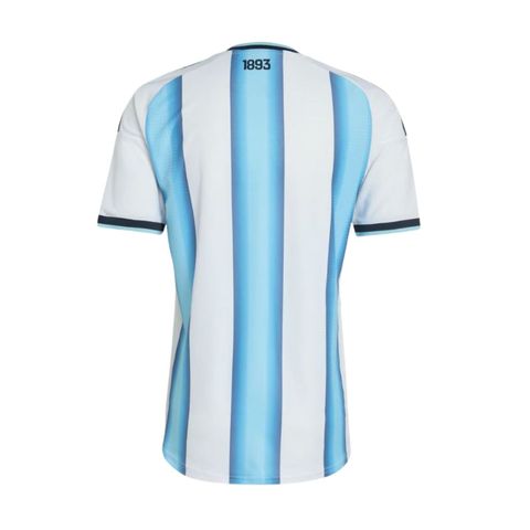Premium Argentina 2026 World Cup Home Jersey Player Edition Size L 1 Piece