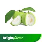 brightfarms Premium Guava Thai 250g
