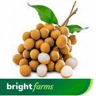 brightfarms Longan (Kath Lychee) 20 Pieces