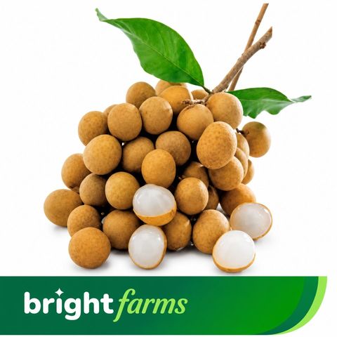 brightfarms Longan (Kath Lychee) 20 Pieces