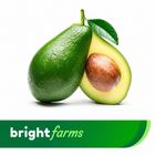 brightfarms Avocado Green 330g - 350g