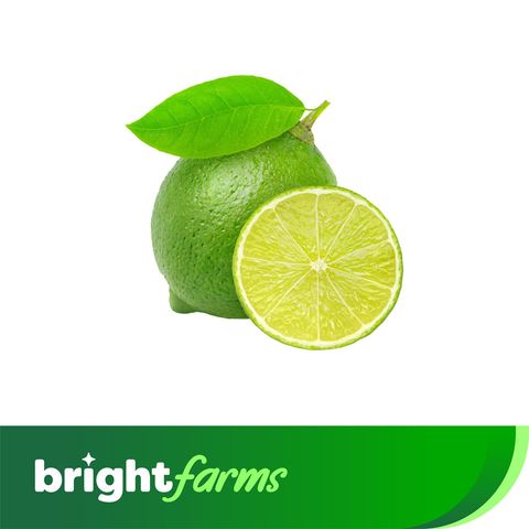 brightfarms Lemon Round (Gol Lebu) 4pcs