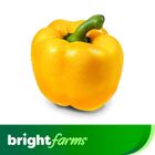 
brightfarms Yellow Capsicum 300g (±20g)