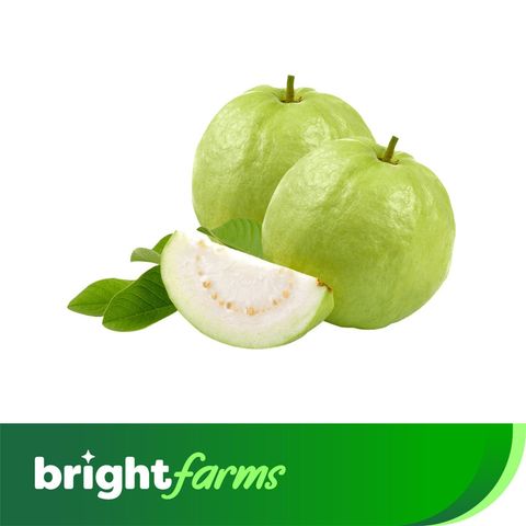 brightfarms Premium Guava Thai 250g