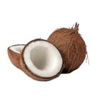 Coconut Narikel 1 Piece