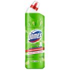 Buy 1 Piece Domex Toilet Cleaning Liquid Lime Fresh 750ml & Get Free Container 1 Piece