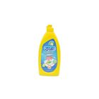 Tara Care Liquid Dish Wash 500ml