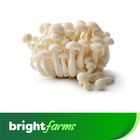 brightfarms Mushroom Shimeji Imported 200g  ±10g