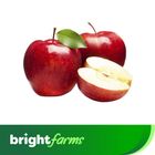 brightfarms Washington Apple Big 1 Piece