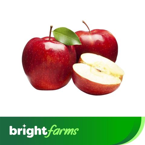 brightfarms Washington Apple Big 1 Piece