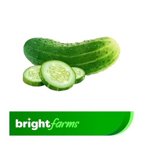 brightfarms Cucumber Local (Shosha) 500g (±20g)