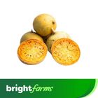 brightfarms Jhum Pahari Wood Apple (Pahari) Bel 1 Piece
