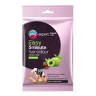 Godrej Expert Easy 5 Minute Shampoo Hair Color Burgundy 18ml