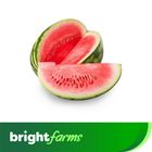 brightfarms Striped Watermelon (Tormuj) 5kg (± 200g)